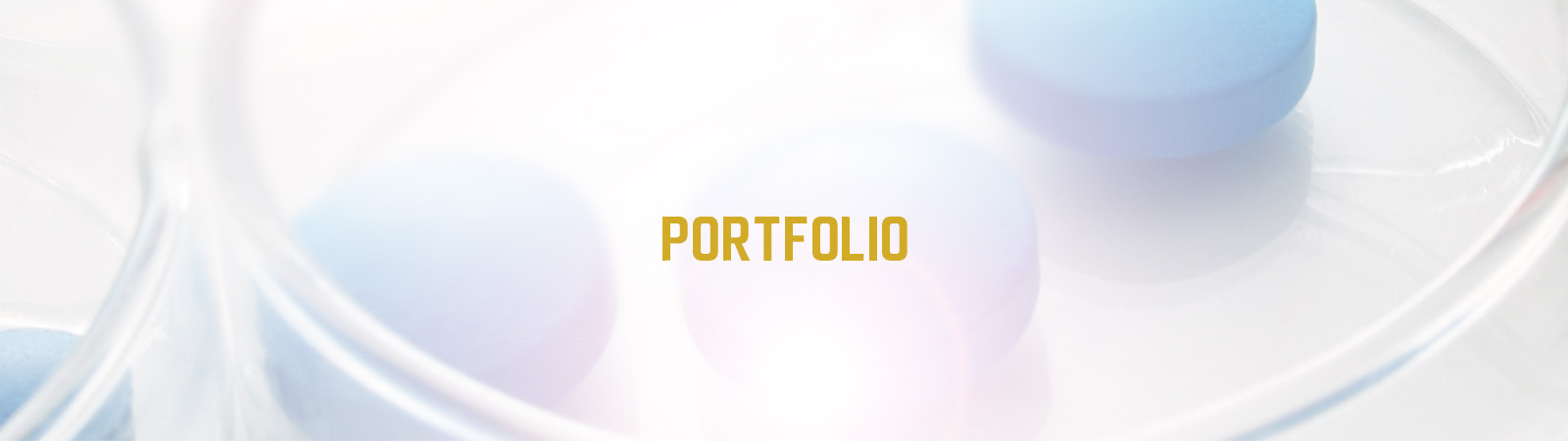 Portfolio Integra Holdings